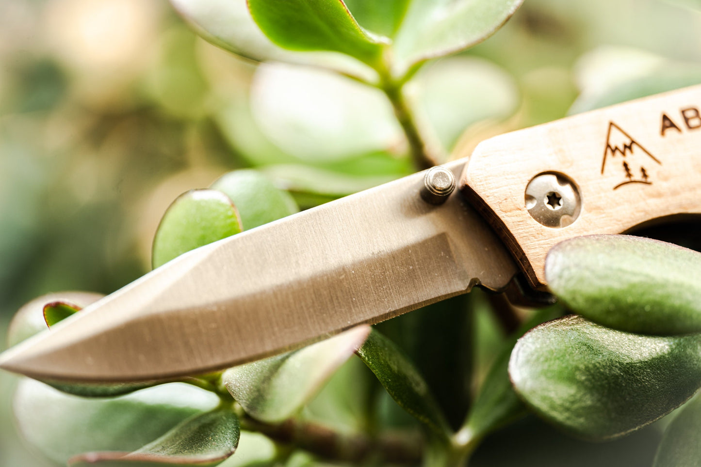 Klappmesser mit Clip